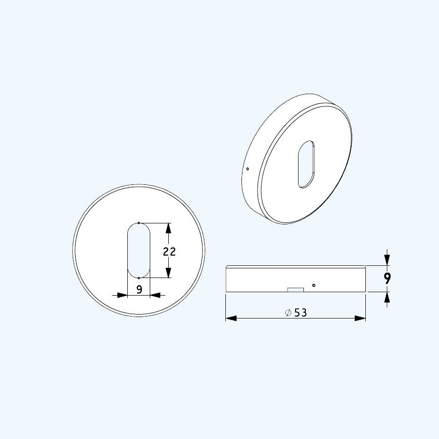 RVS rozet met sleutelgat (2 stuks) RVS rozet met sleutelgat (2 stuks)