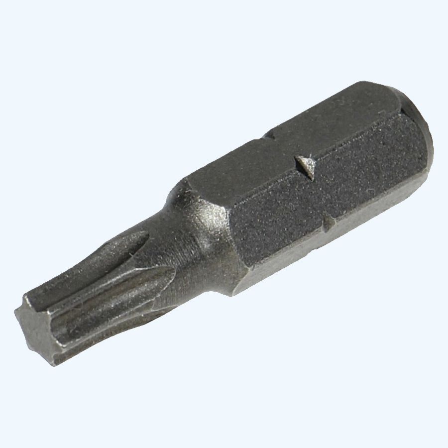 100 stuks Torx 40 bits 100 stuks Torx 40 bits